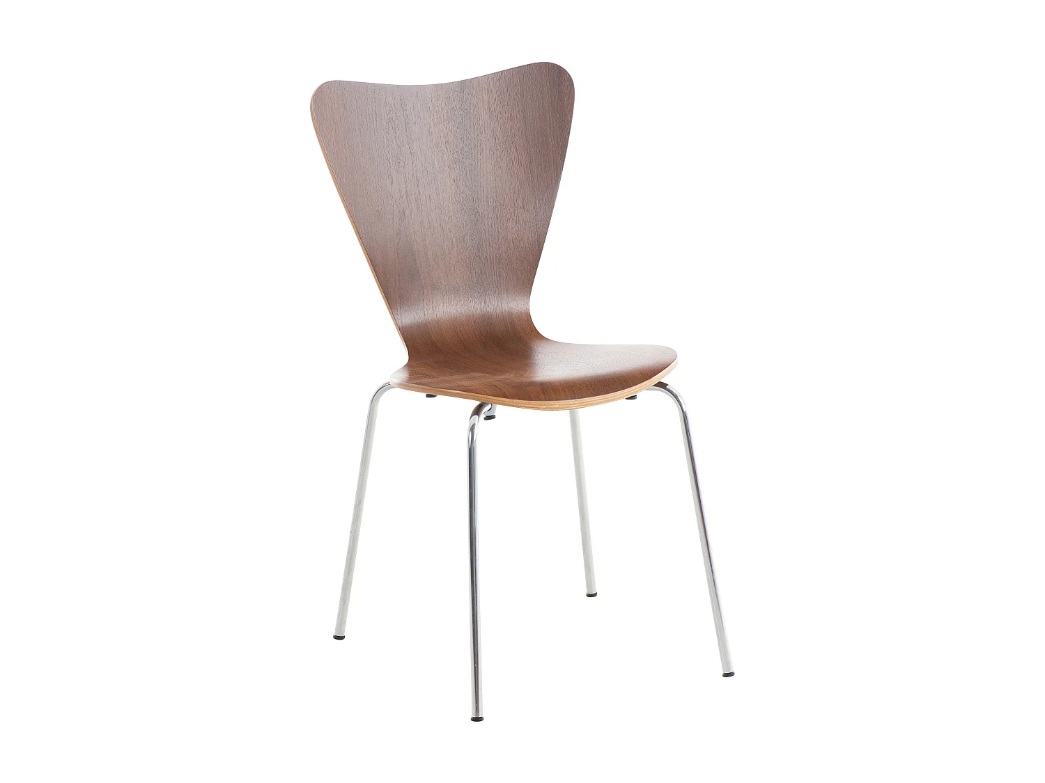 Chaise de conférence - Bois & Blanc - Noyer - Calisto