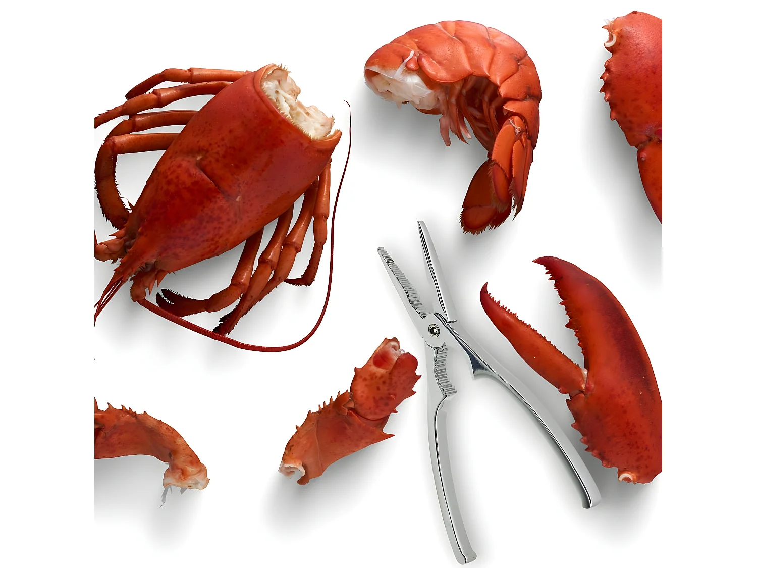 Pince à crustacés et à Homard 17 cm Fackelmann