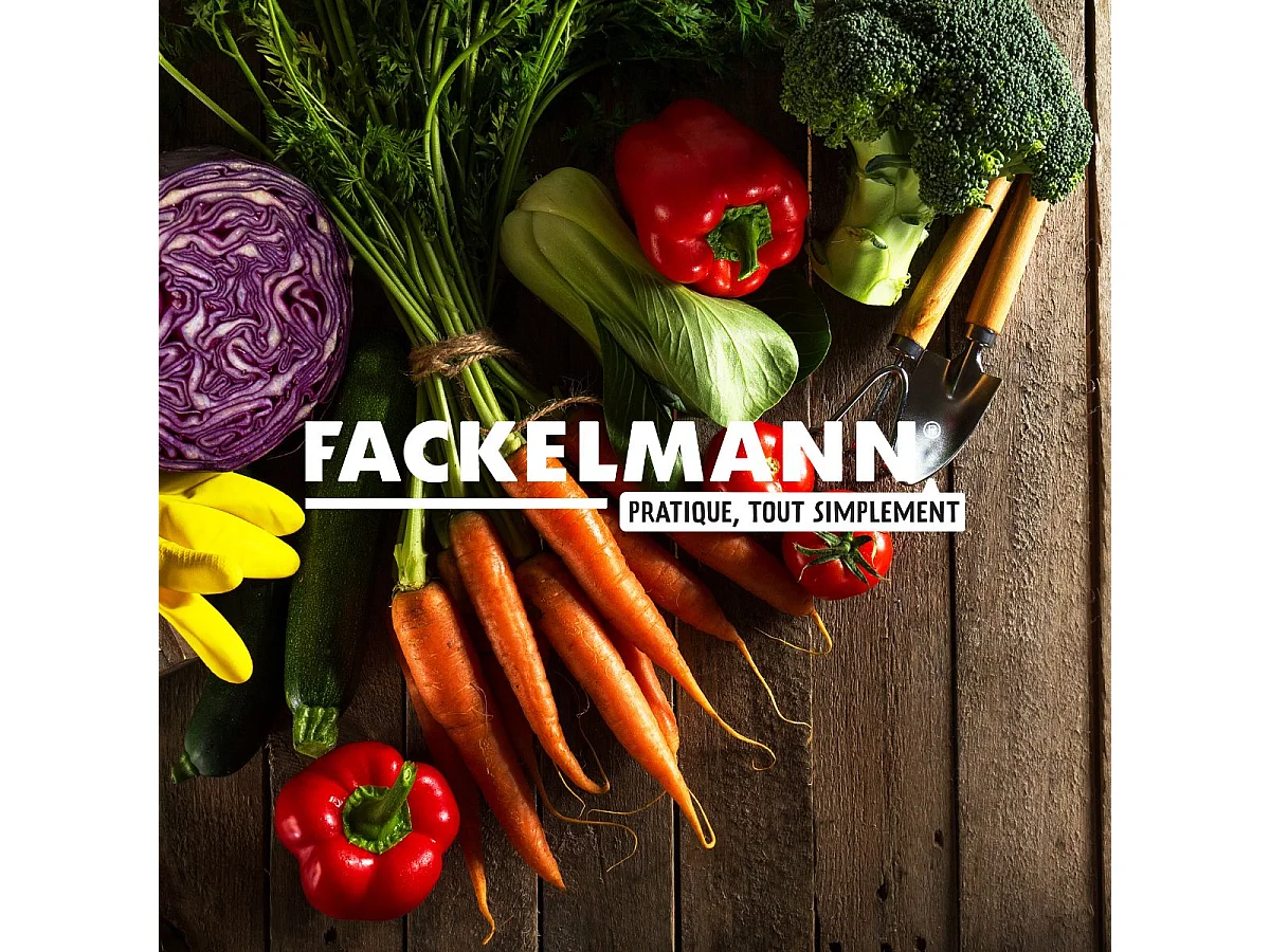 Set de 2 passoires inox 20 cm et 26 cm Fackelmann