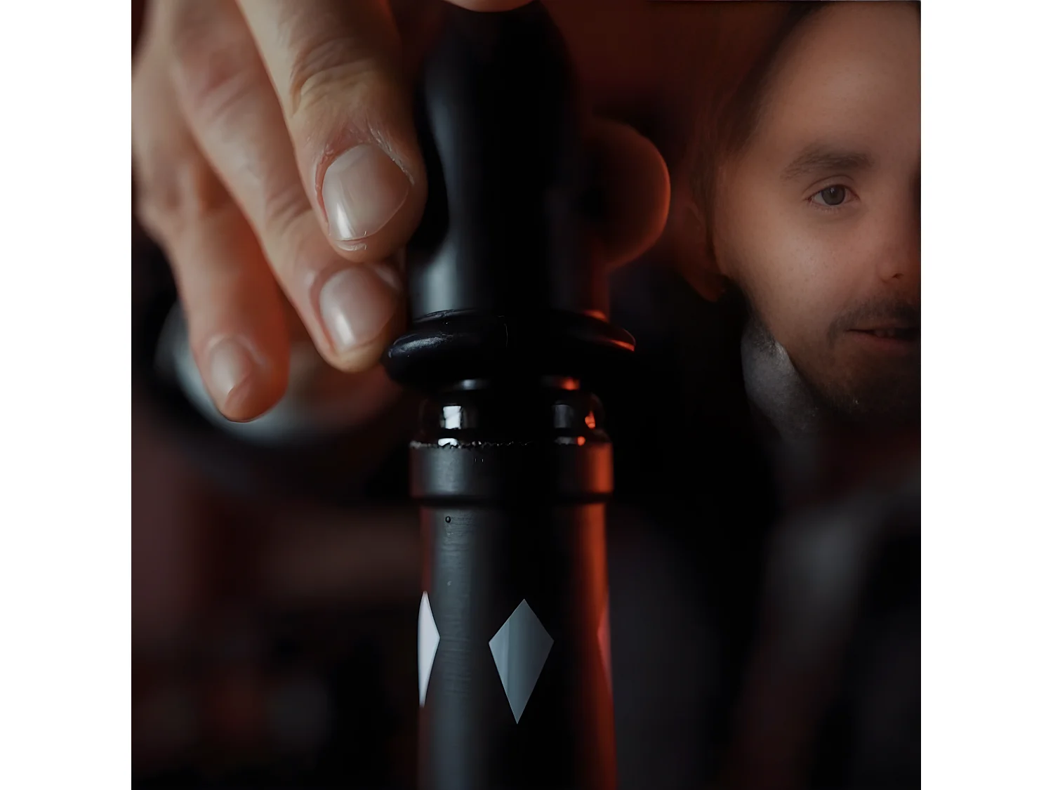 Bouchon verseur pour le vin Fackelmann Spectre