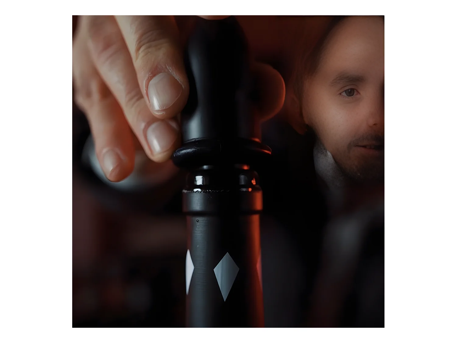 Bouchon verseur pour le vin Fackelmann Spectre