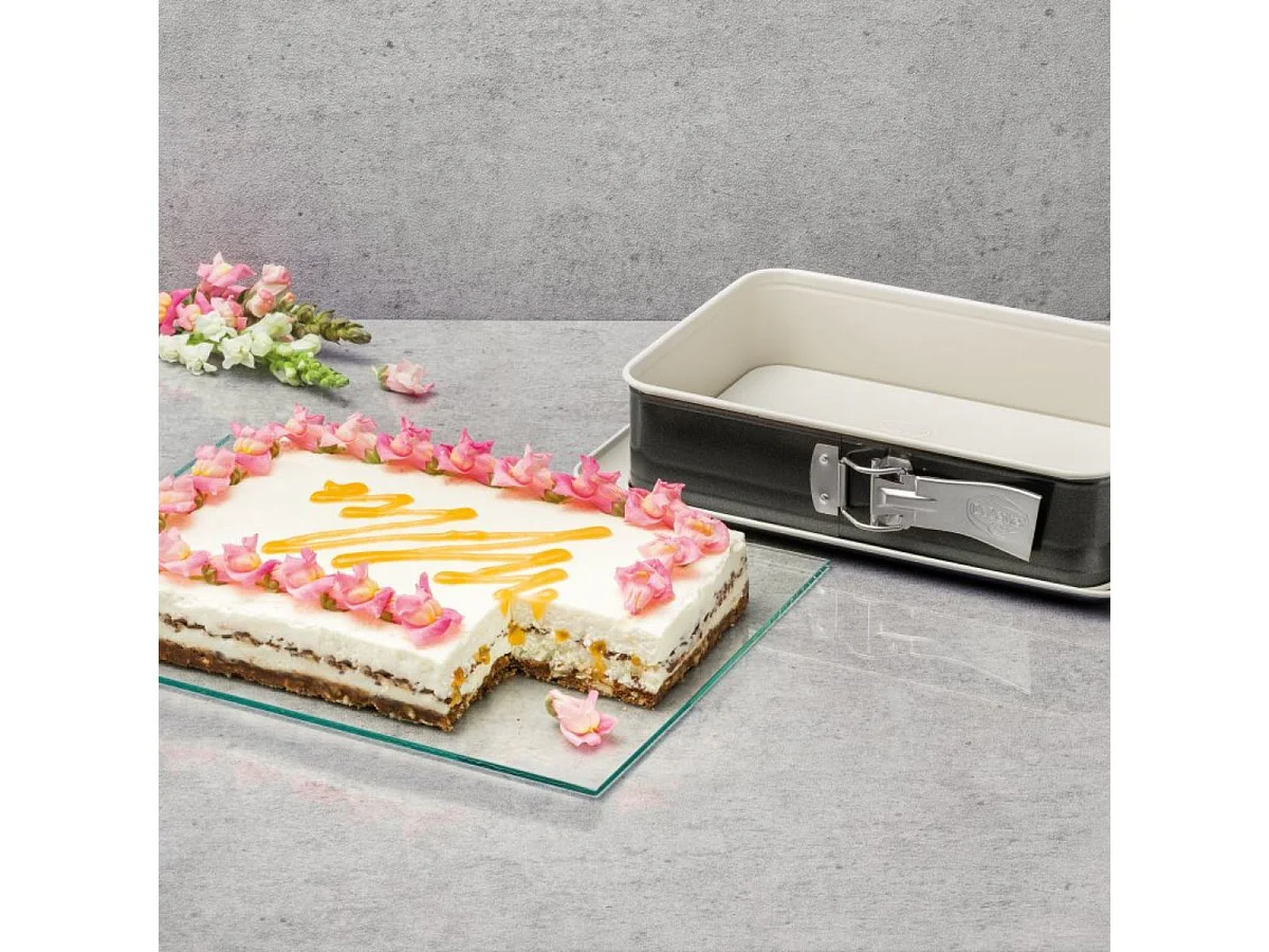 Moule à cake 30 cm et moule à gâteau rectangulaire 28 x 18 cm Dr. Oetker Back Trend