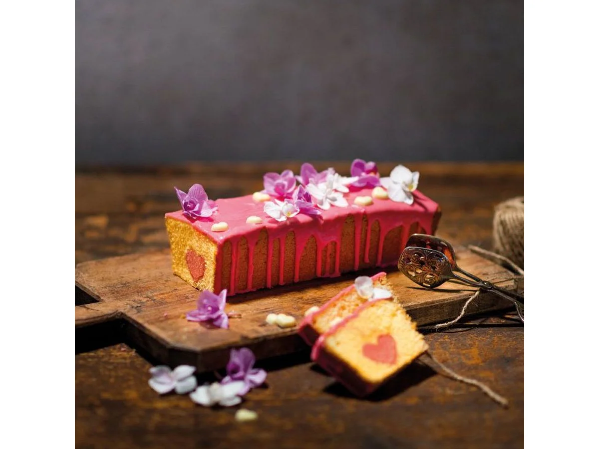 Moule à cake 30 cm et moule à gâteau rectangulaire 28 x 18 cm Dr. Oetker Back Trend