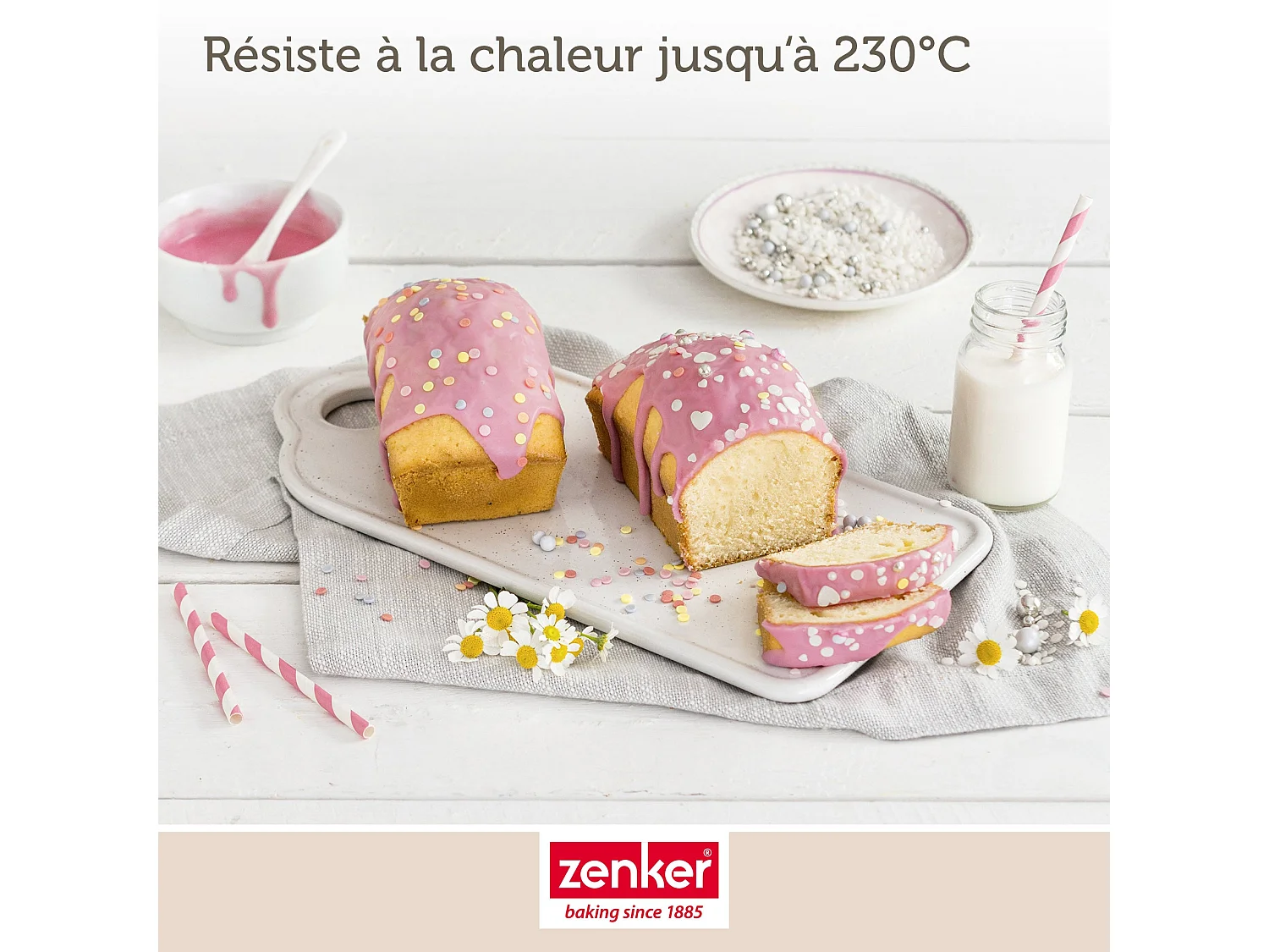 Moule à cake 20 cm Zenker Special Mini