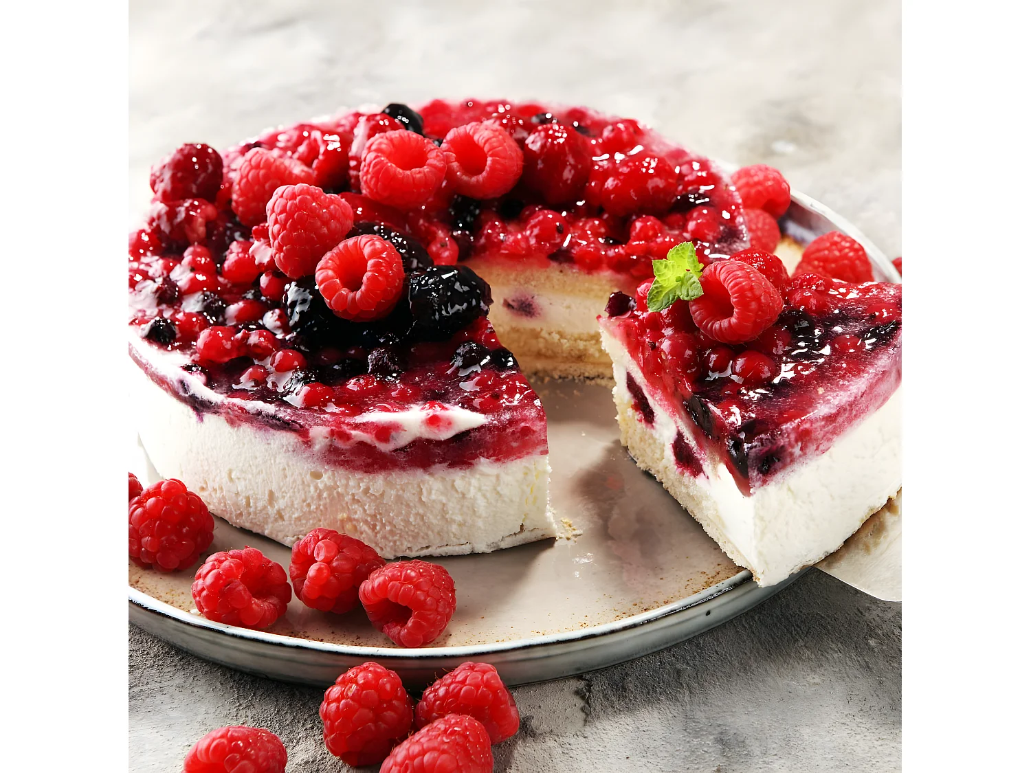 Plaque de cuisson rectangle avec couvercle et moule à manqué avec couvercle Dr. Oetker Bake and Go