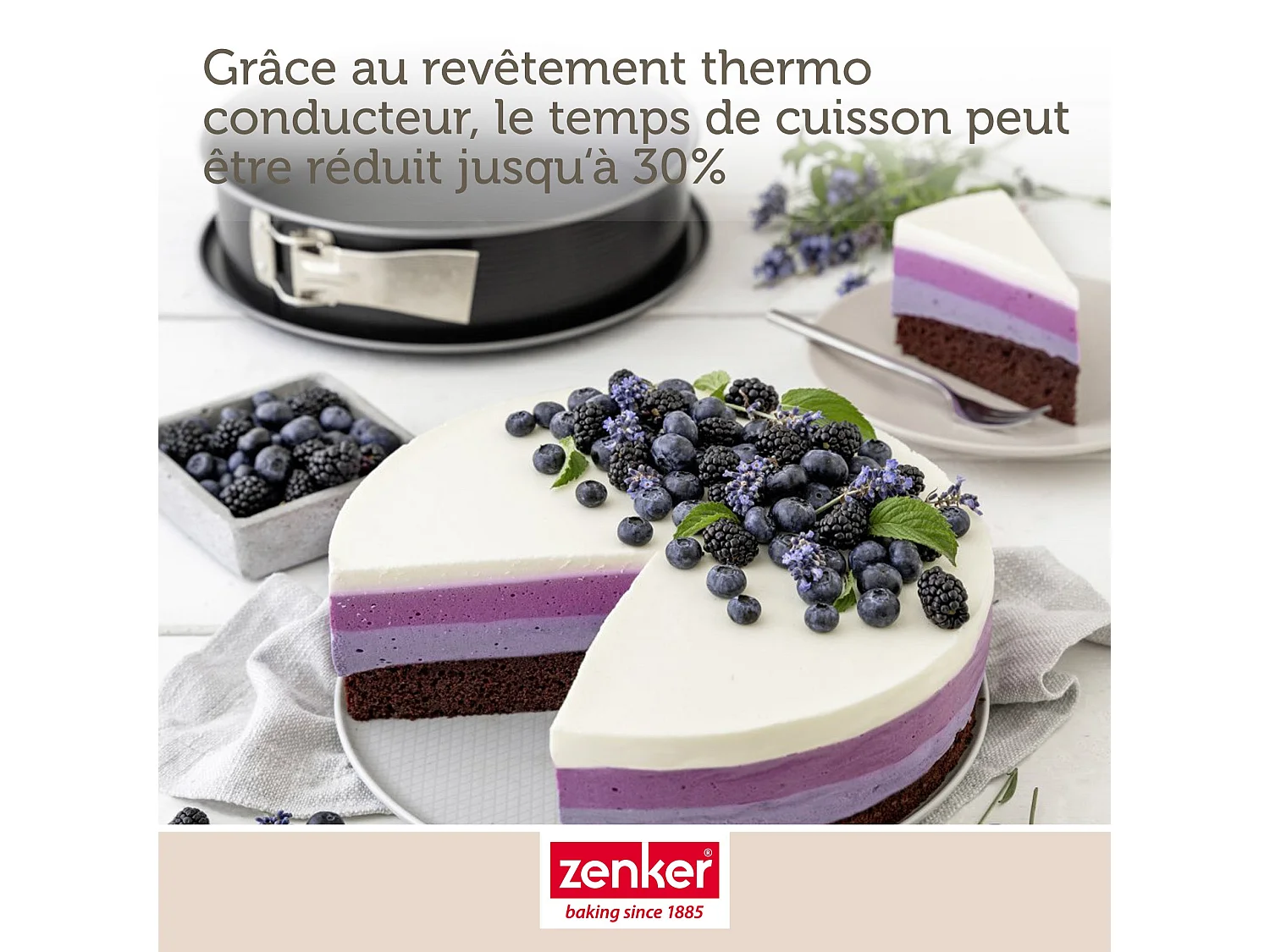 Moule à manqué à charnière en acier 28 cm Zenker Energy