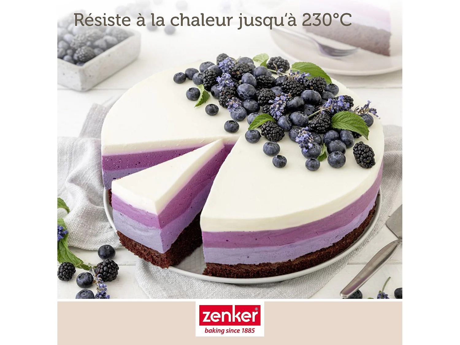 Moule à manqué à charnière en acier 28 cm Zenker Energy