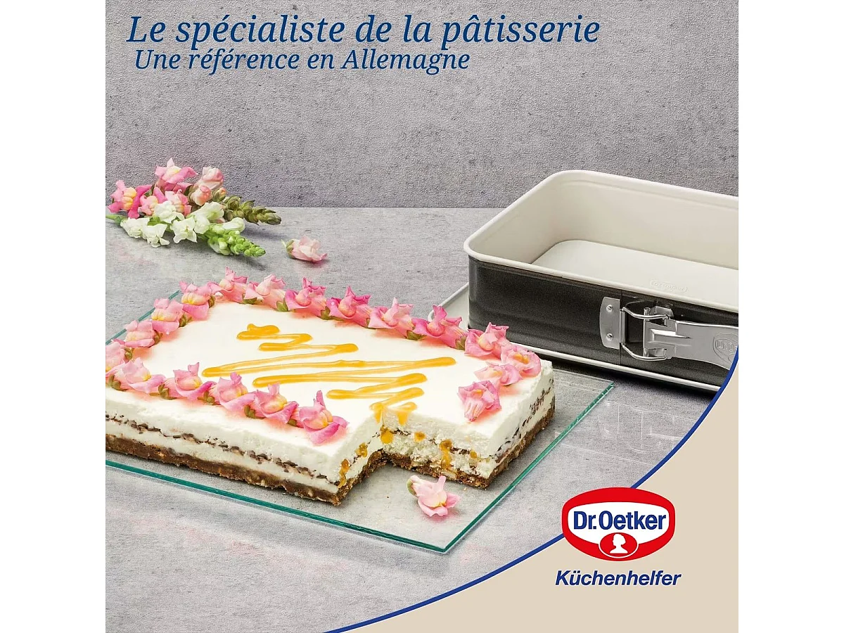Moule à gâteau céramique et plat four 28 x 18 cm Dr Oetker Back Trend