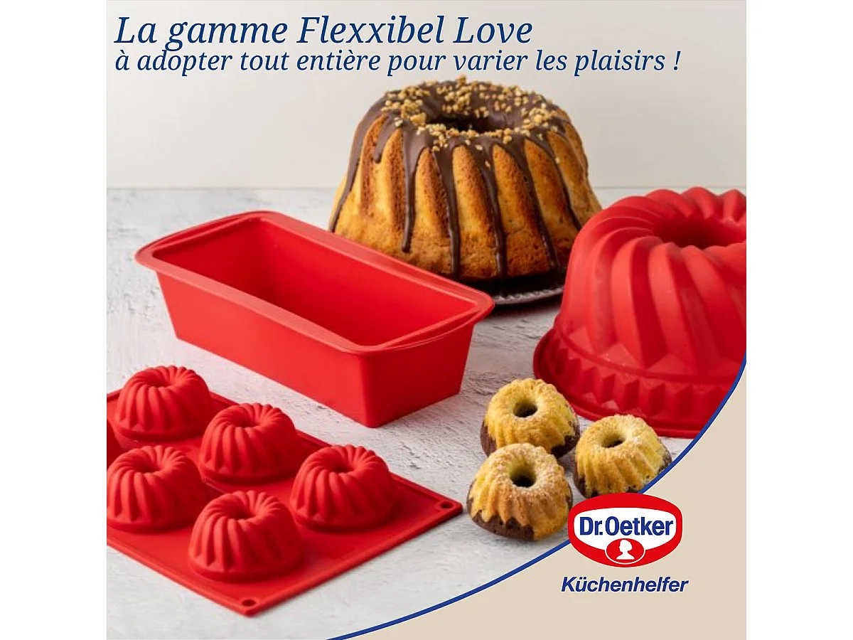 Moule à kougelhofs 6 empreintes 30 cm Dr.Oetker Flexxibel Love