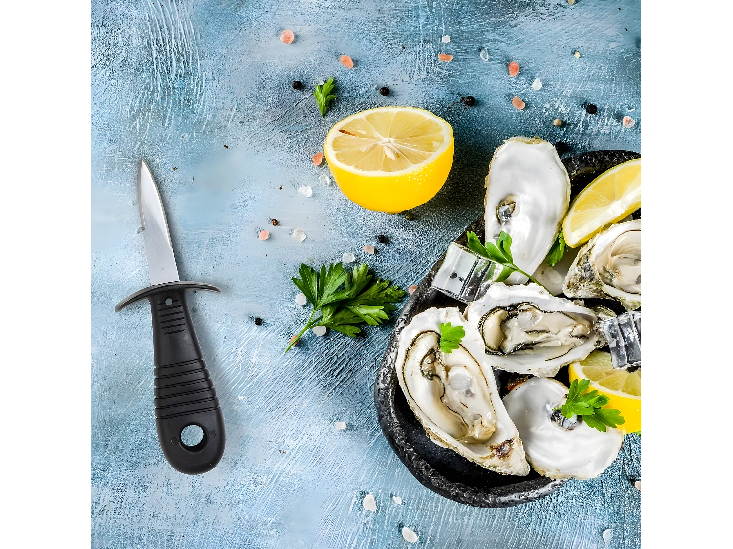 Couteau à huîtres inox 14 cm Fackelmann