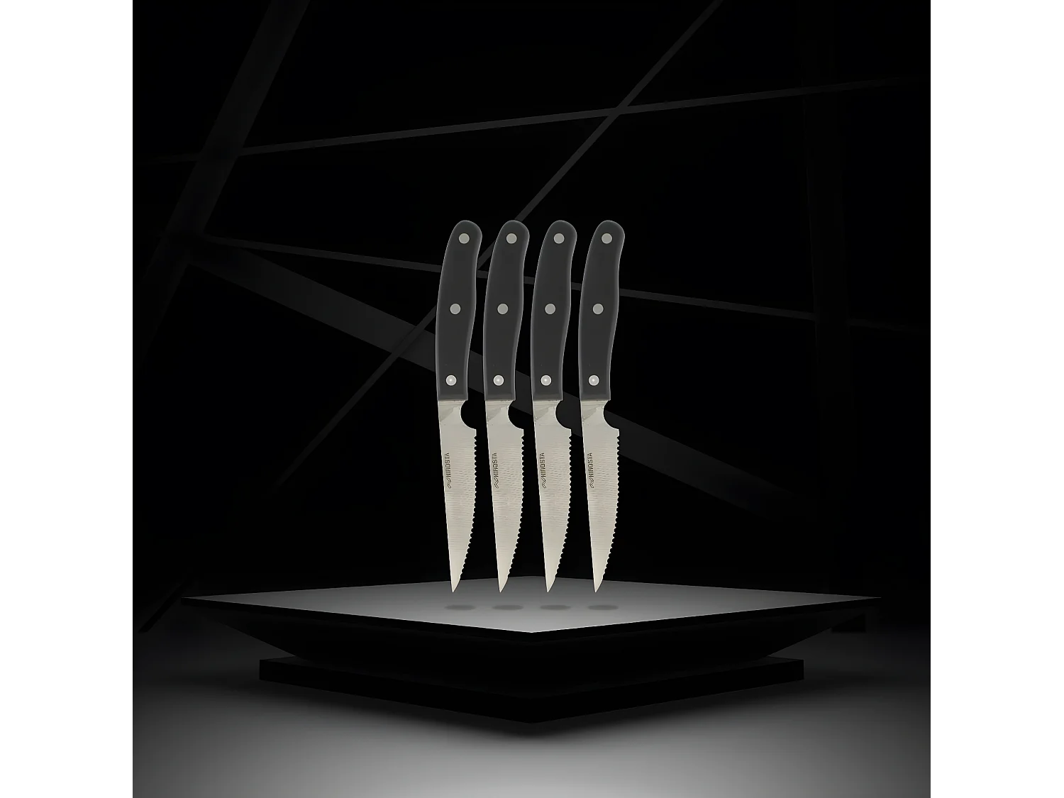 Lot de 4 couteaux à steak 22 cm Nirosta Fit