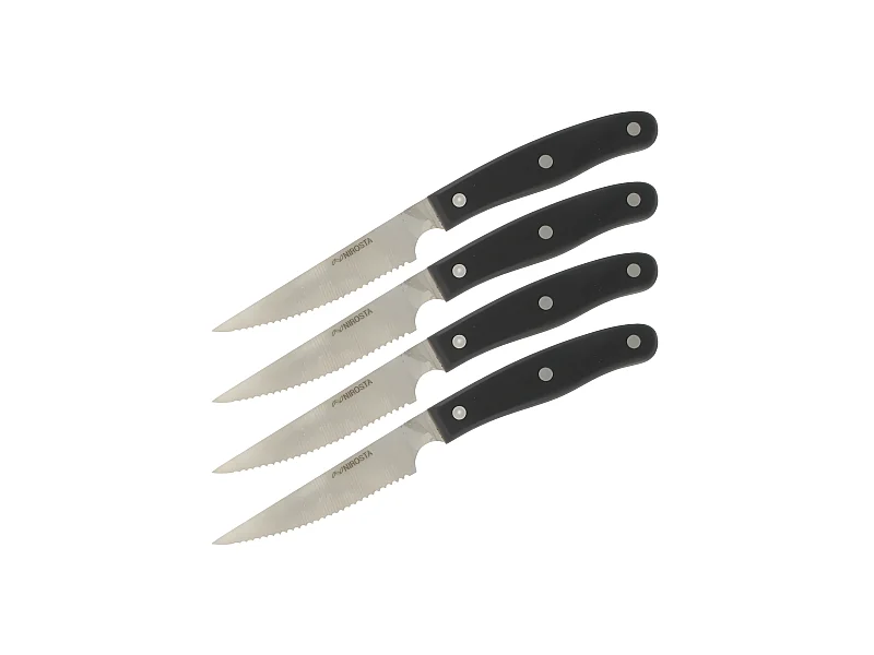 Lot de 4 couteaux à steak 22 cm Nirosta Fit