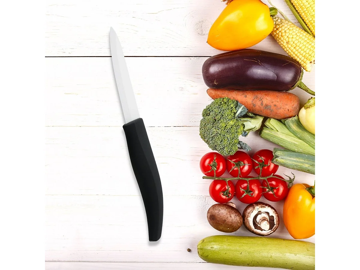 Lot de 2 couteaux avec lames en céramique de 12,5 et 18 cm de long Nirosta Céramique