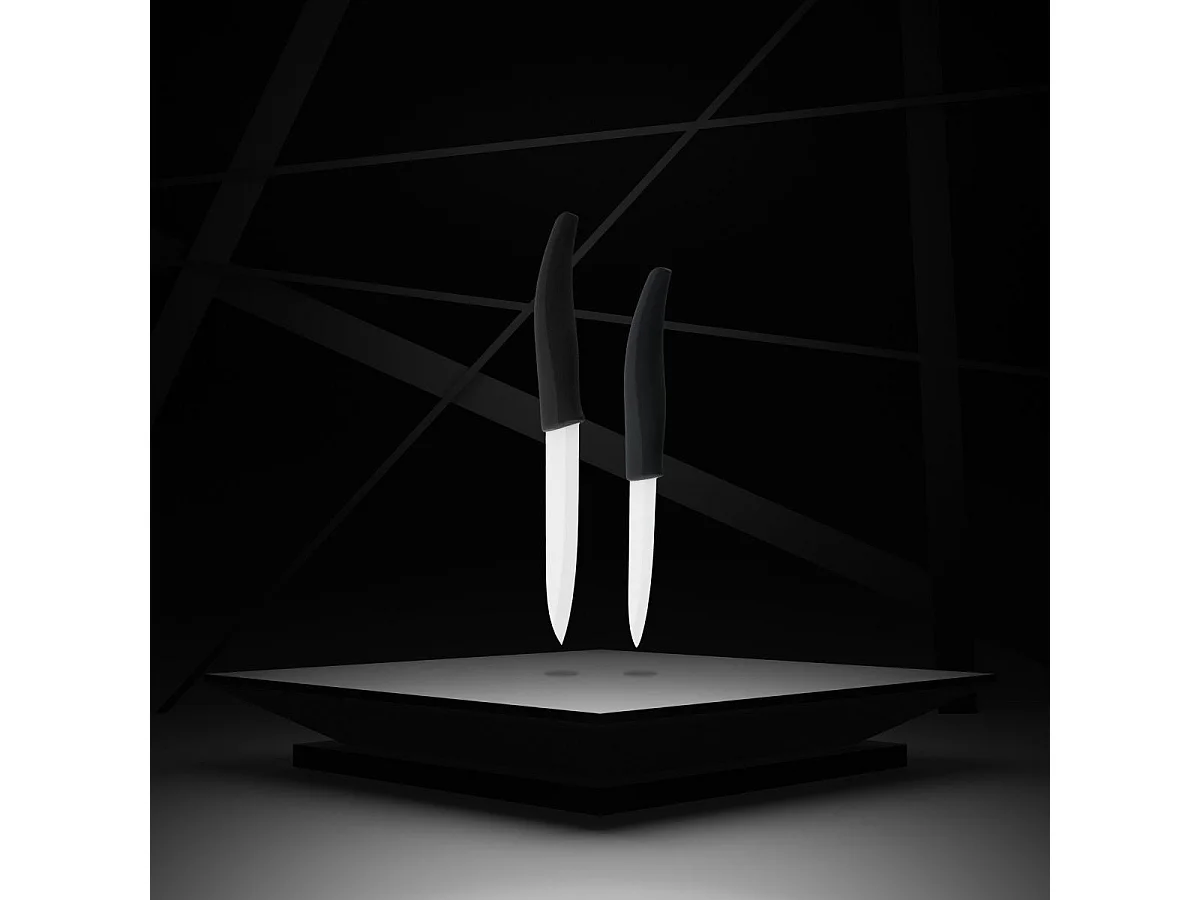 Lot de 2 couteaux avec lames en céramique de 12,5 et 18 cm de long Nirosta Céramique