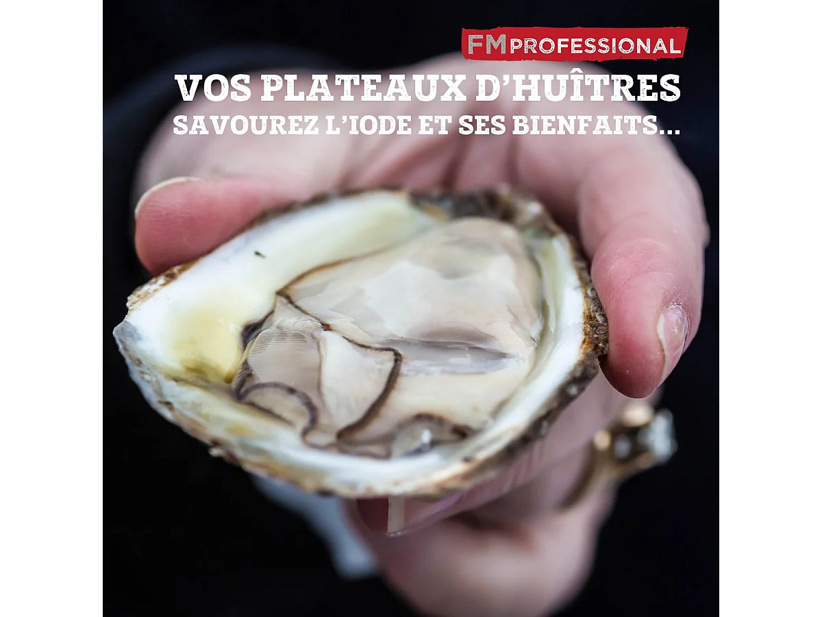 Couteau à huître 2 en 1 18 cm FM Professional Divers