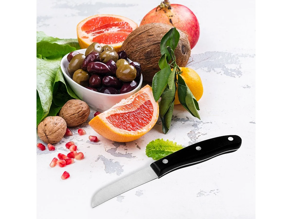 Ensemble de 4 couteaux de cuisine 20, 22, 26 et 31 cm Nirosta Fit