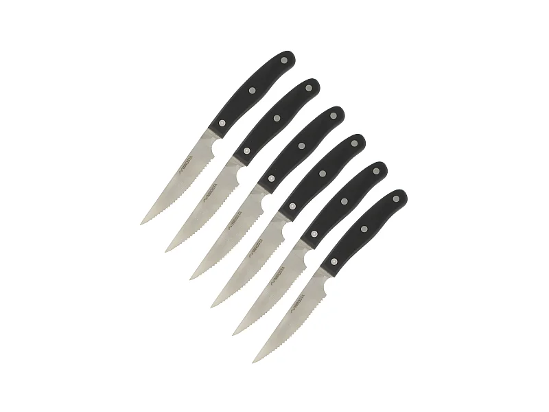 Lot de 6 couteaux à steak 22 cm Nirosta Fit