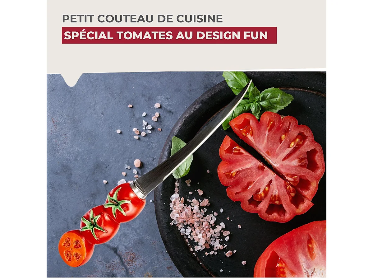 Couteau à tomates lame crantée 11 cm Fackelmann