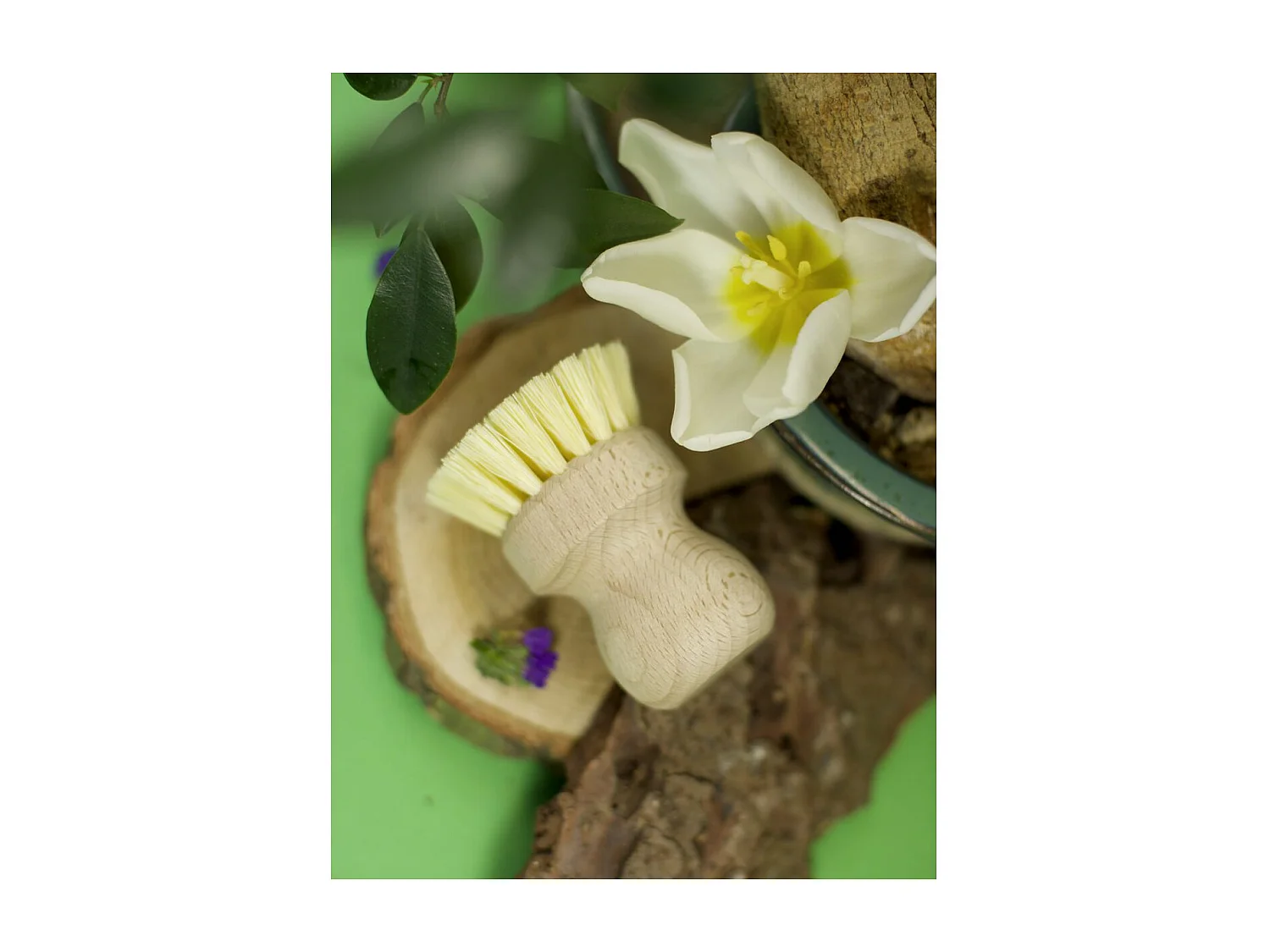 Brosse à vaisselle en bois Fackelmann