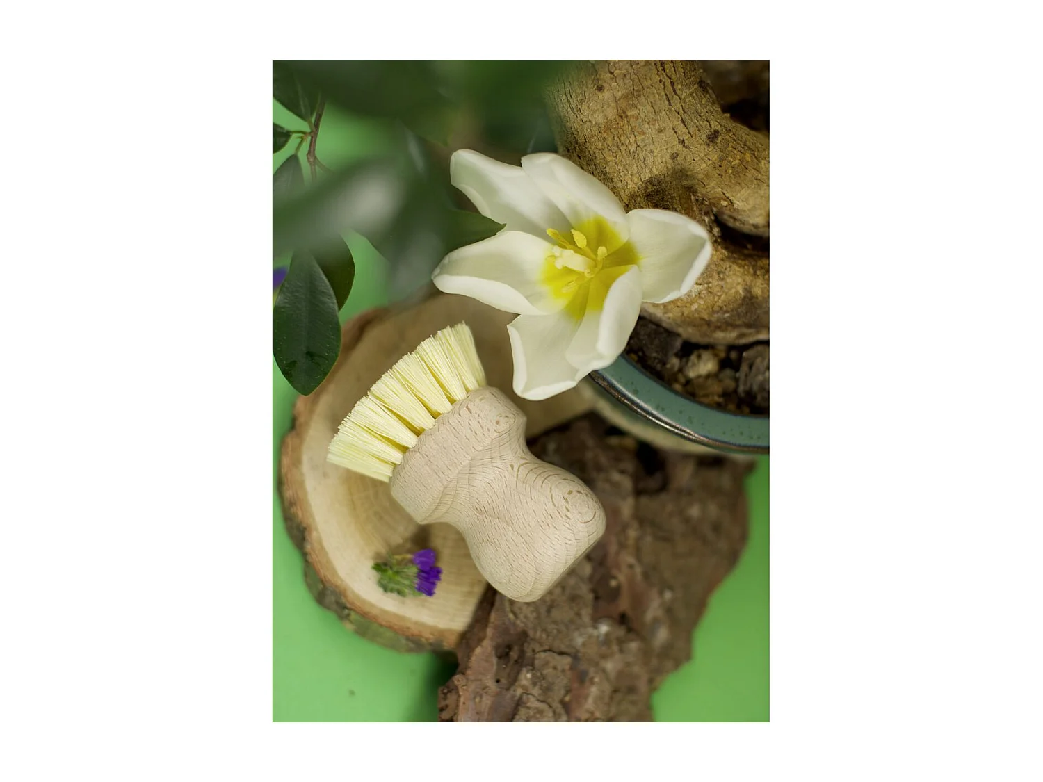 Brosse à vaisselle en bois Fackelmann