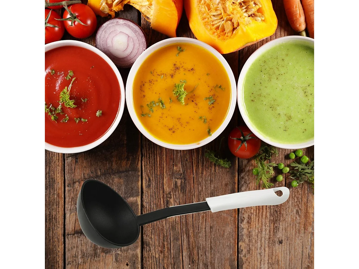 Louche de cuisine 30 cl Fackelmann Arcadalina