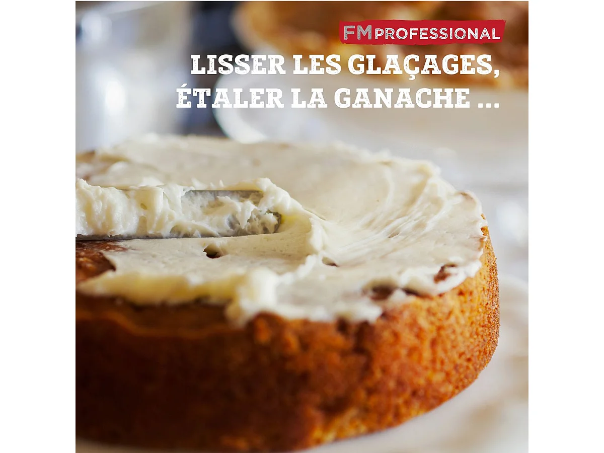 Mini spatule coudée 22,5 cm FM Professional