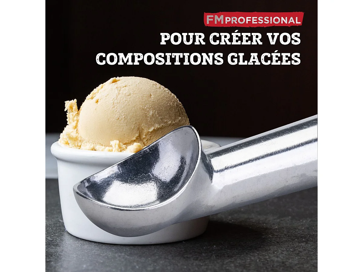 Cuillère à glace FM Professional