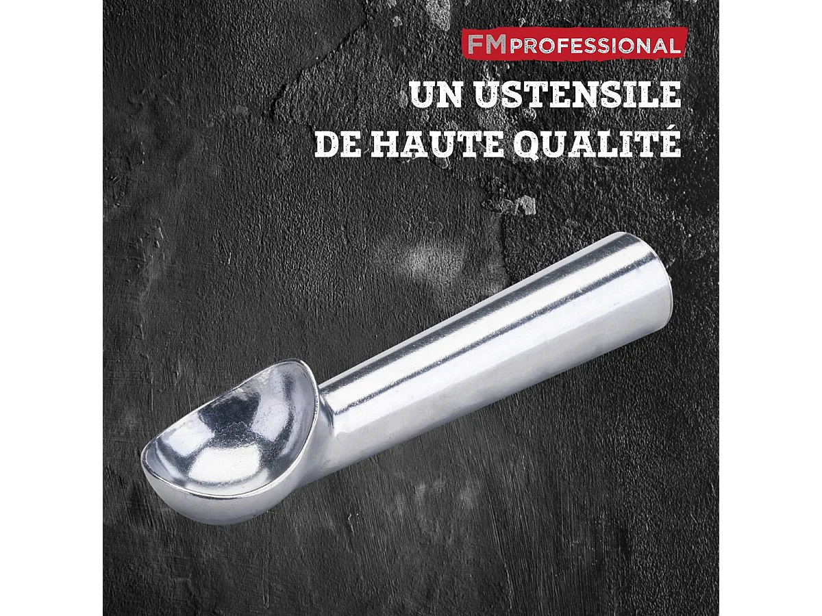 Cuillère à glace FM Professional