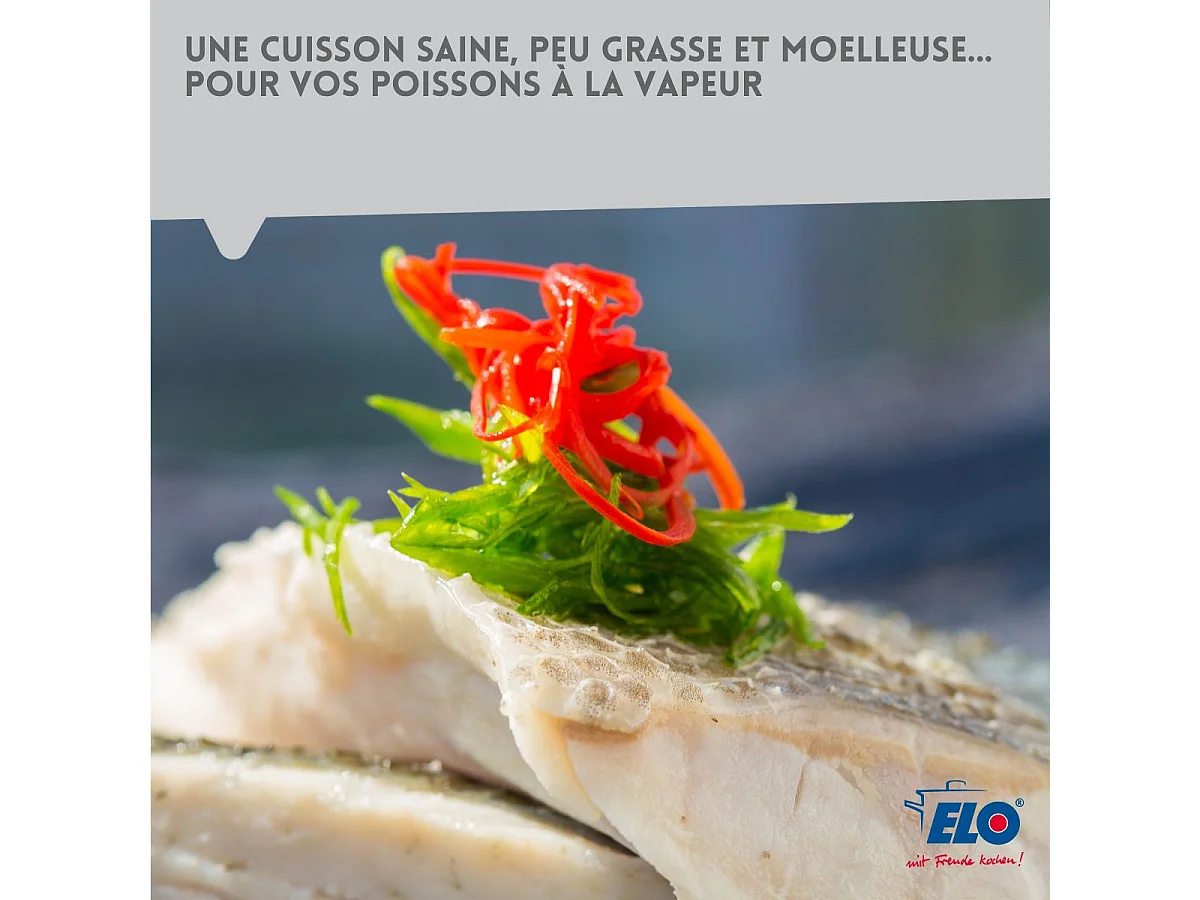 Cuiseur vapeur en inox 18 cm de 2 litres Elo Citrin