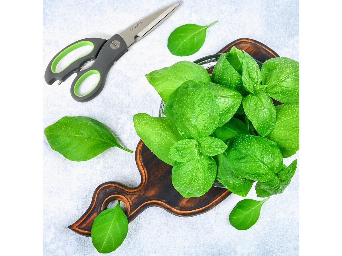 Ciseaux de cuisine Nirosta Praktika