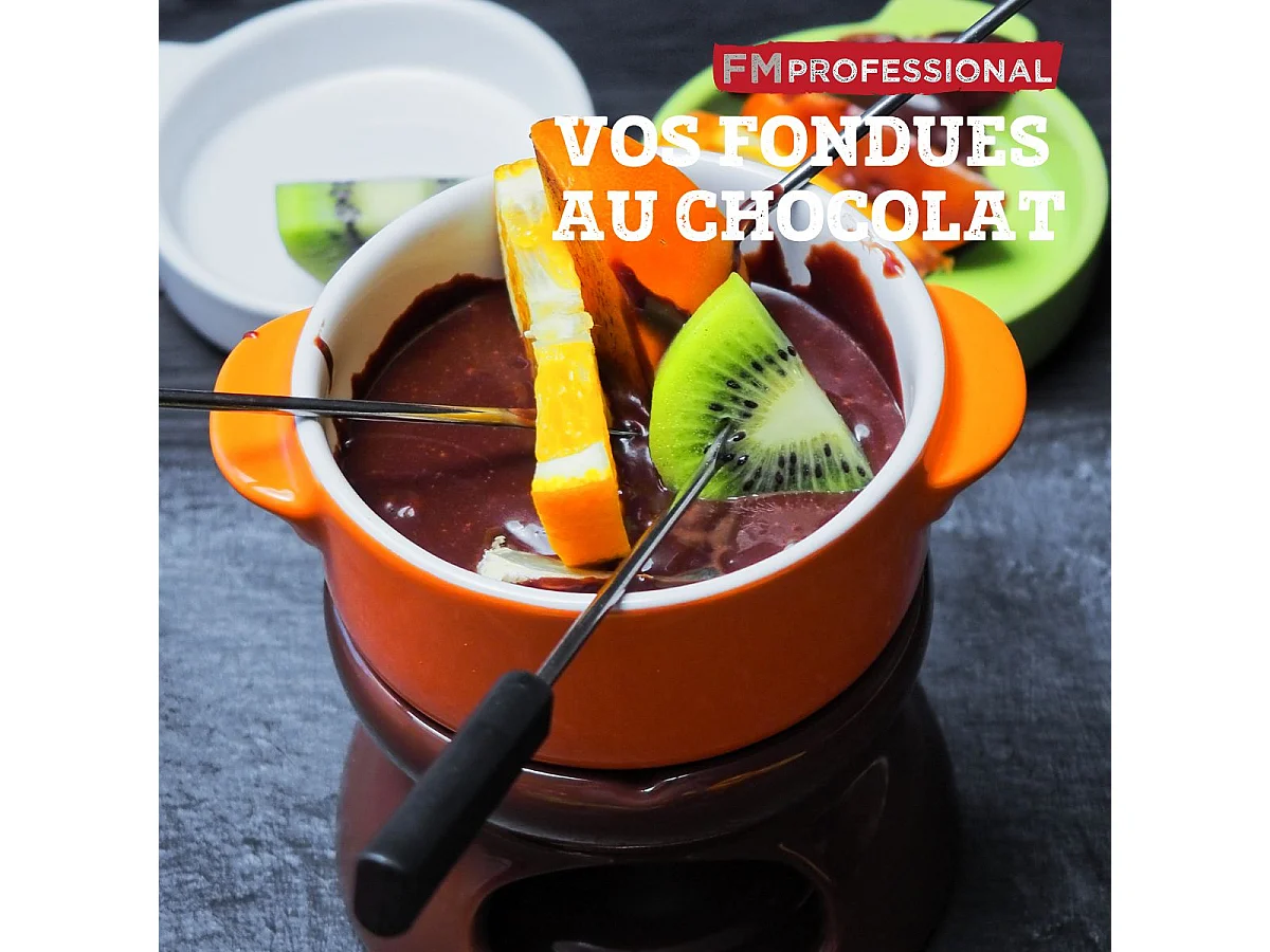 Brûleur alcool fondue savoyarde FM Professional