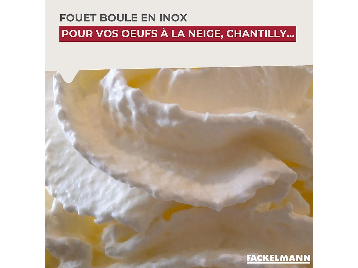 Fouet de cuisine et pâtisserie en inox avec bille 26,5 cm Fackelmann Ovale Limited Edition