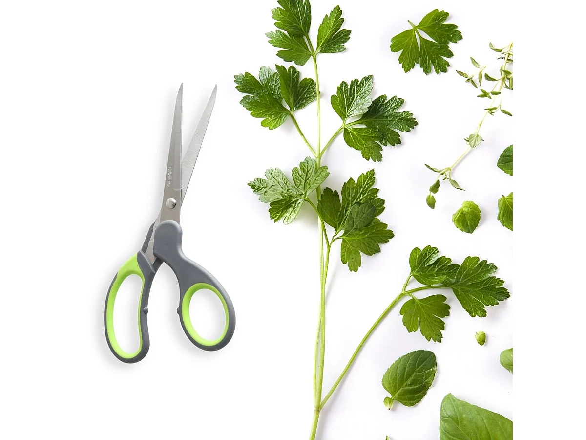 Ciseaux à prise souple Nirosta