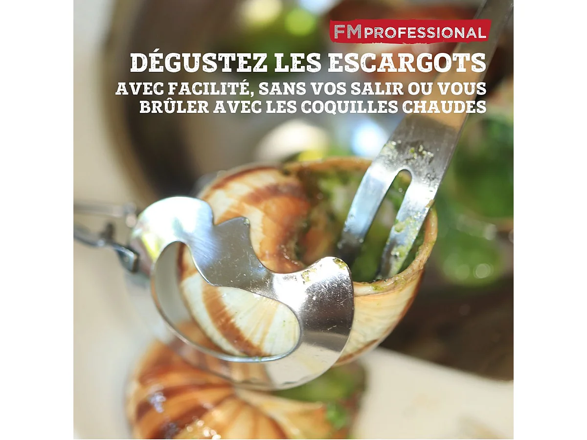 Lot de 4 pinces à escargot FM Professional
