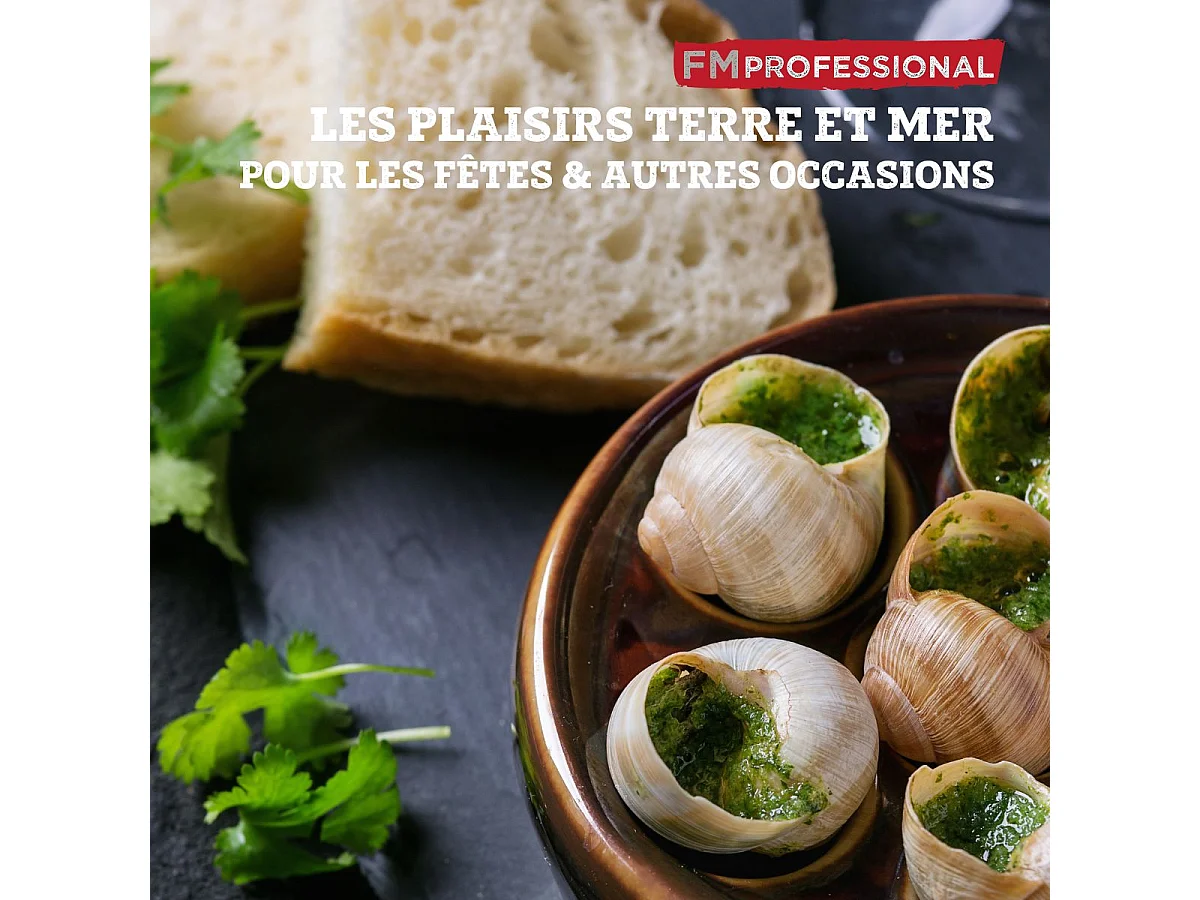 Lot de 4 pinces à escargot FM Professional