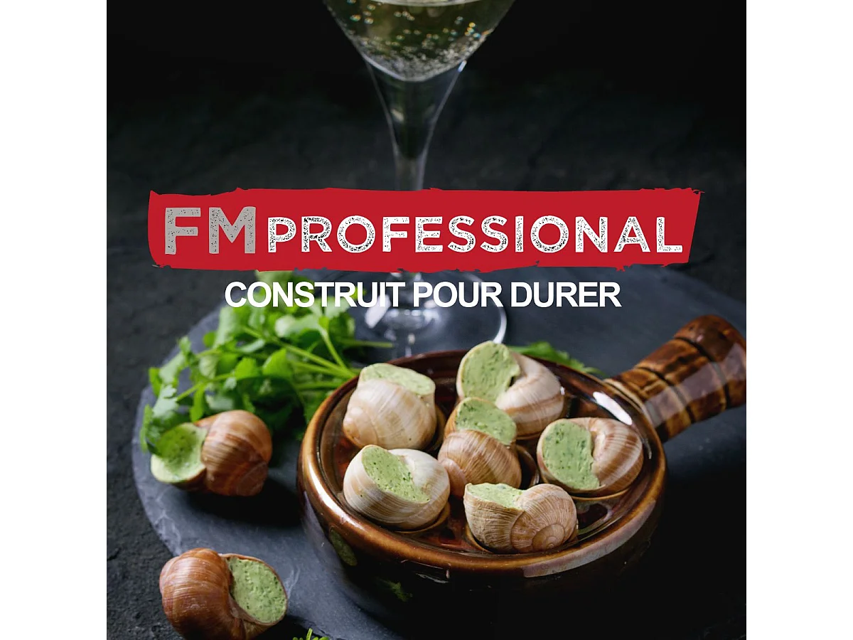 Lot de 4 pinces à escargot FM Professional