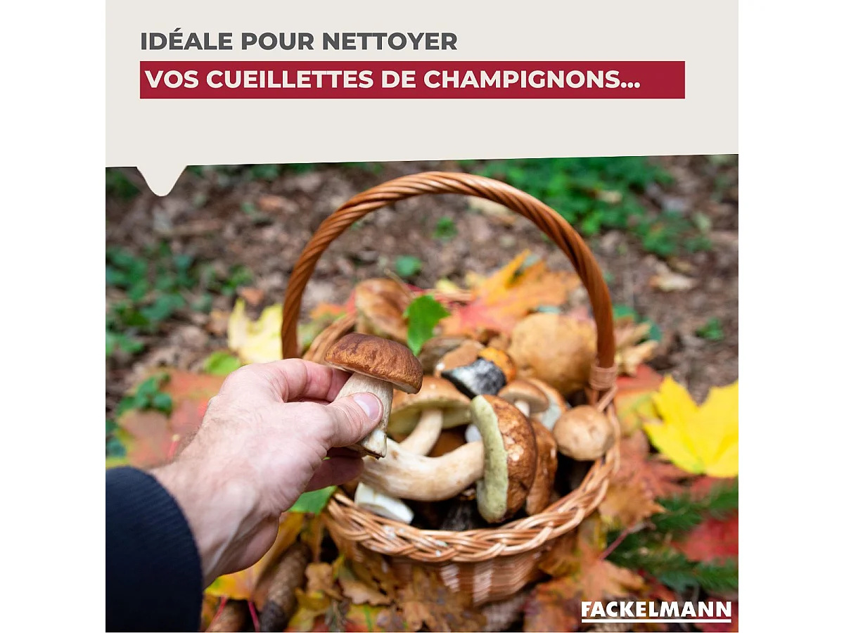 Brosse à légumes en bois Fackelmann Wood Edition