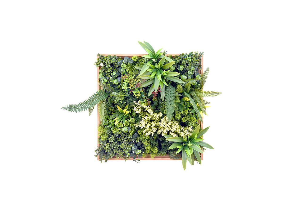 Pflanzenbild künstlich - 55 x 55 cm - Rahmen Holzfarben, Blätter Grün - LOV günstig online kaufen