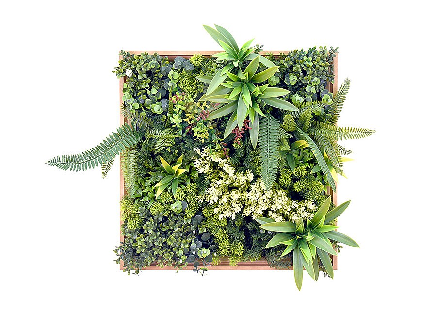 Pflanzenbild künstlich - 55 x 55 cm - Rahmen Holzfarben, Blätter Grün - LOV günstig online kaufen