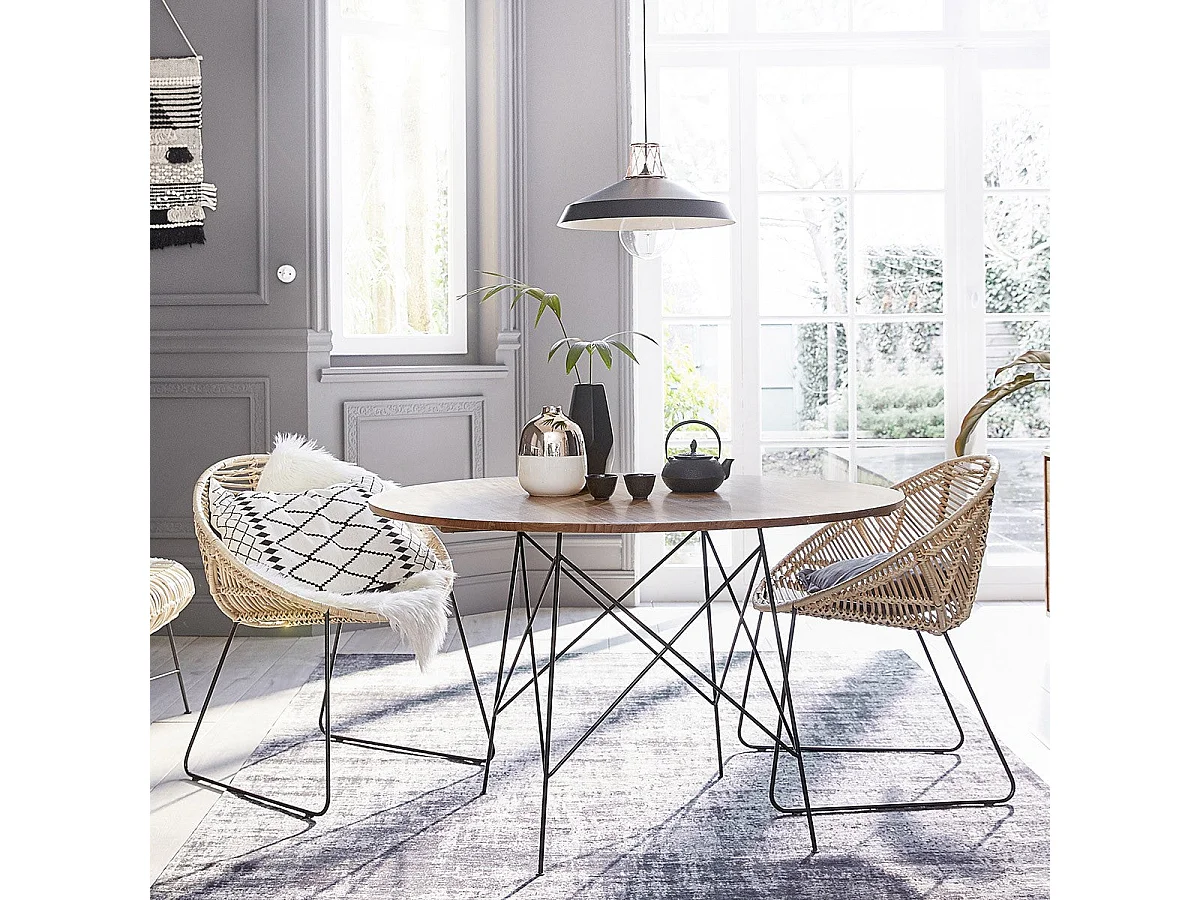 Lot de 2 chaises en rotin et métal
