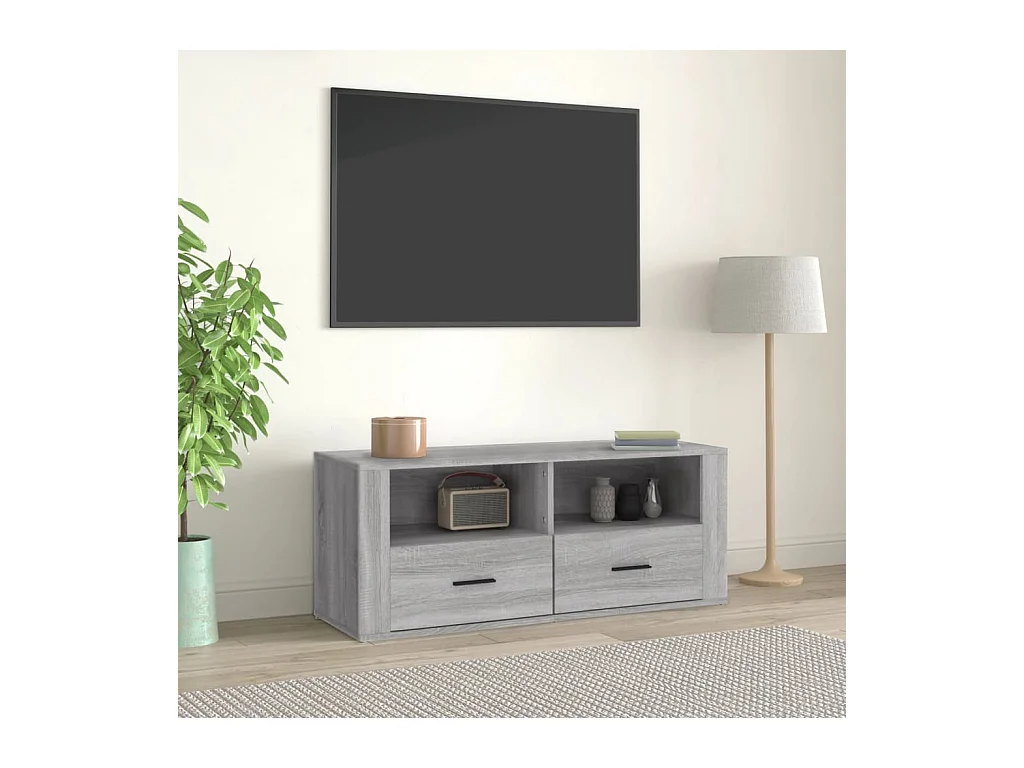 Meuble TV Sonoma gris 100x35x40 cm Bois d'ingénierie