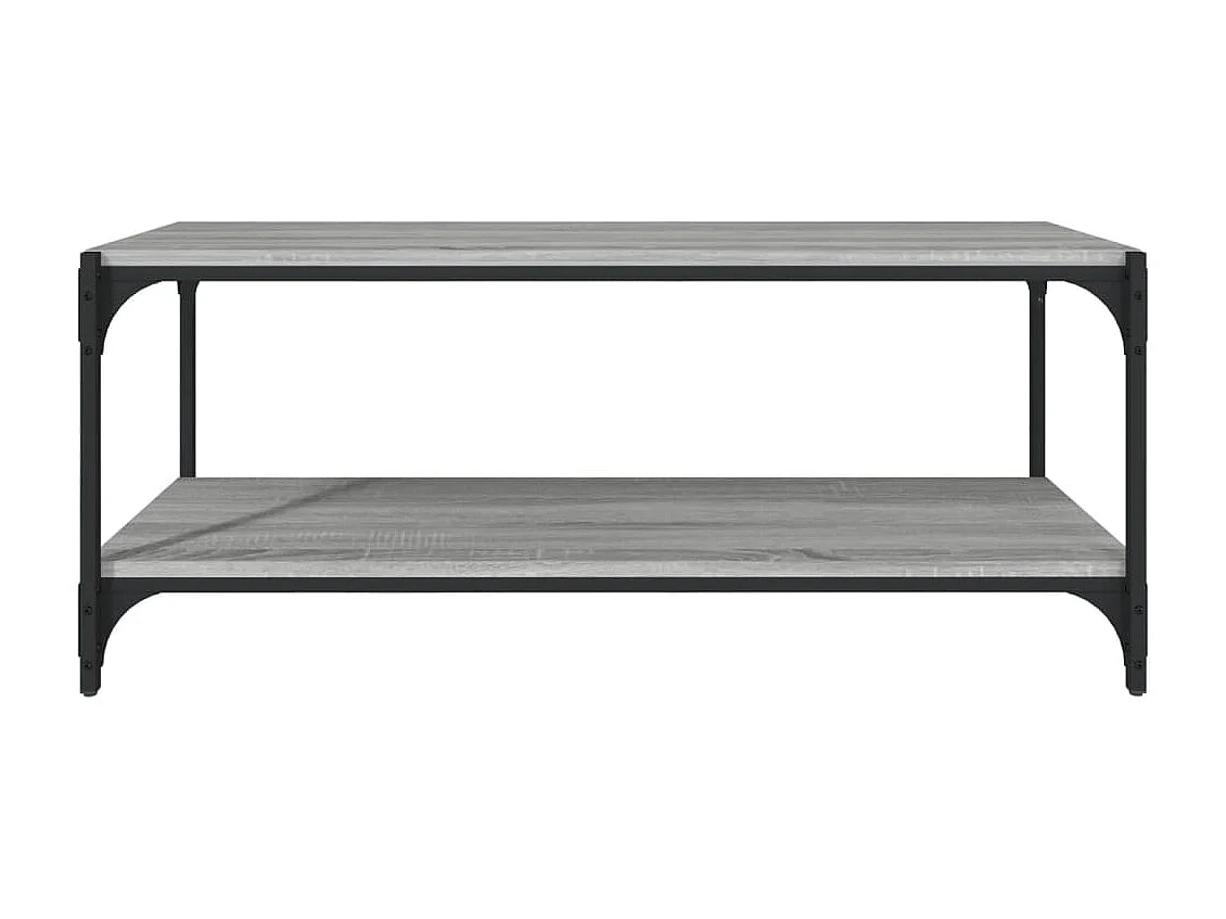 Meuble TV Sonoma gris 100x33x41 cm Bois d'ingénierie et acier