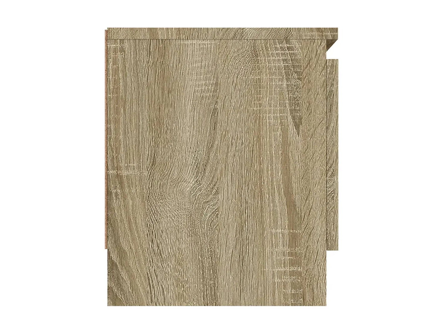 Meuble TV avec porte Chêne sonoma 102x30x36 cm