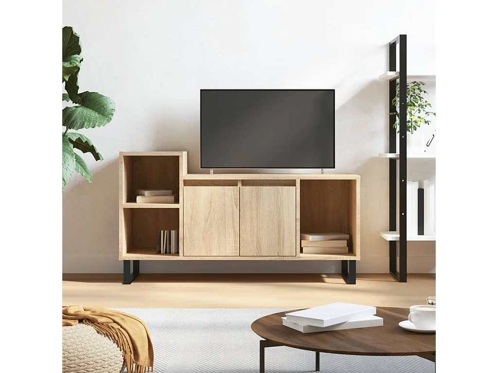 Meuble TV Chêne sonoma 100x35x55 cm Bois d'ingénierie