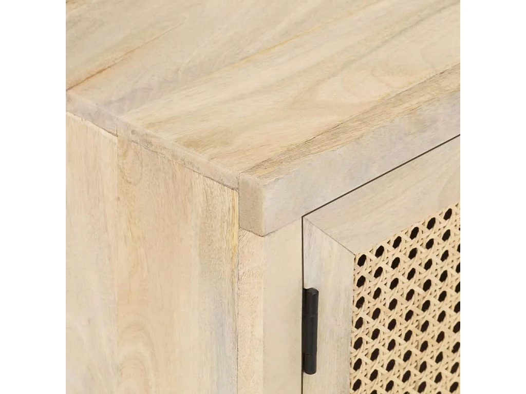 Meuble TV 120x30x40 cm Bois de manguier et canne naturelle