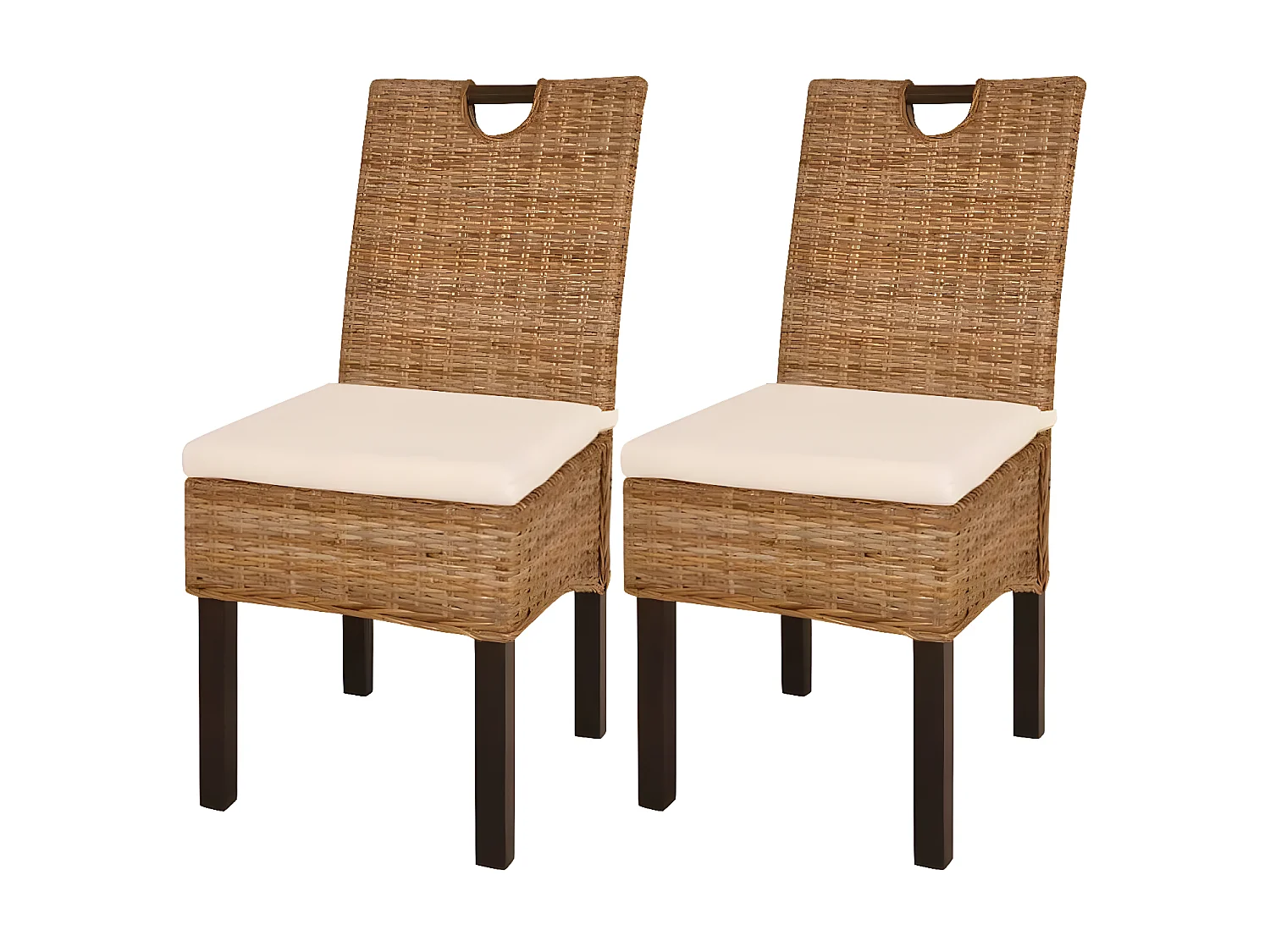Eetkamerstoelen set van 2 Kubu rotan mangohout