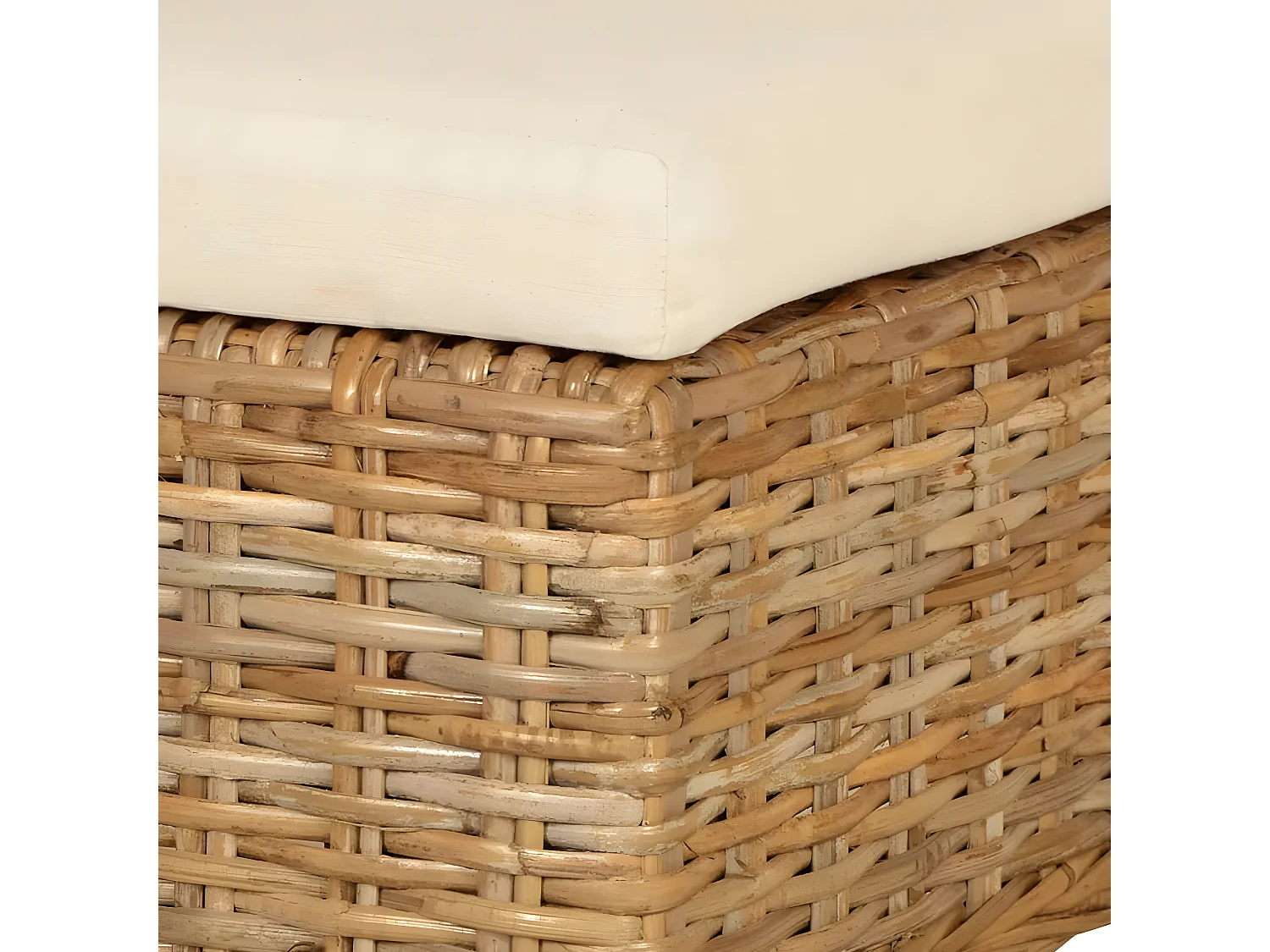 Eetkamerstoelen set van 2 Kubu rotan mangohout