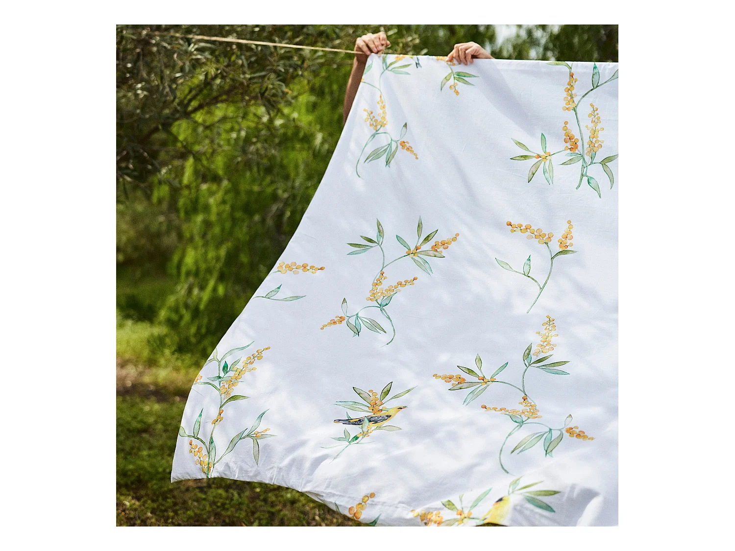 Dekbedovertrek 260x220 cm (Bed 180/200) Corniglia