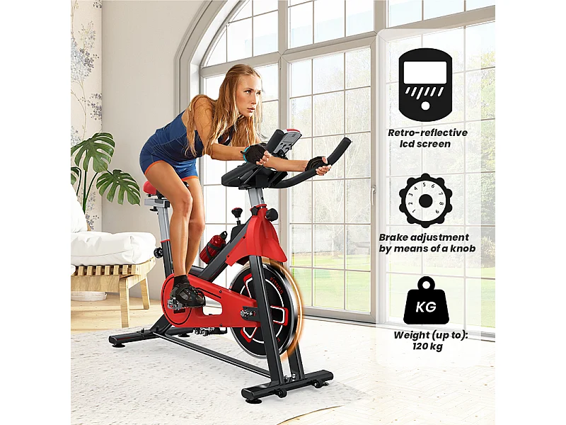 Spin Bike met Verstelbare Zitting en Stuur, Hometrainer met Verstelbare Weerstand en LCD Display