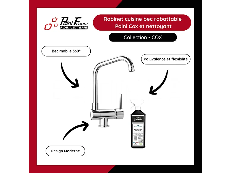 Robinet cuisine bec rabattable Paini Cox et Nettoyant
